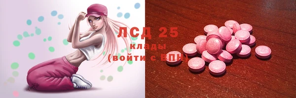 ГАЛЛЮЦИНОГЕННЫЕ ГРИБЫ Абаза