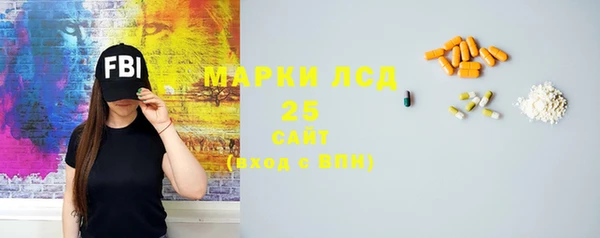 ГАЛЛЮЦИНОГЕННЫЕ ГРИБЫ Абаза